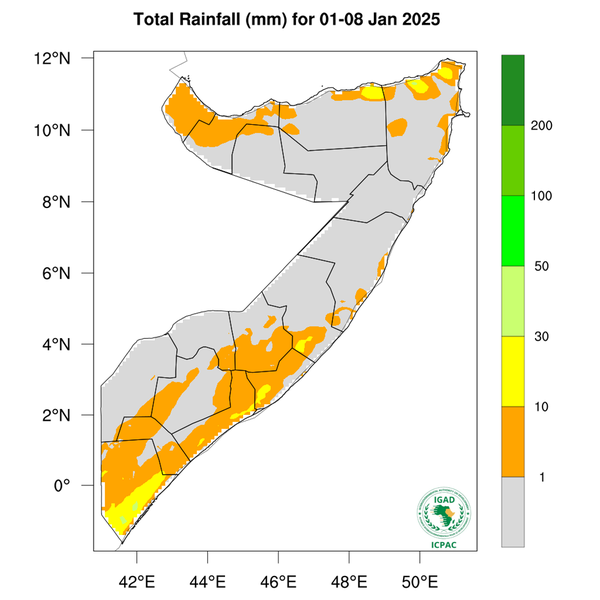 Rainfall forecast