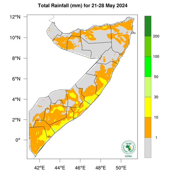 Rainfall forecast