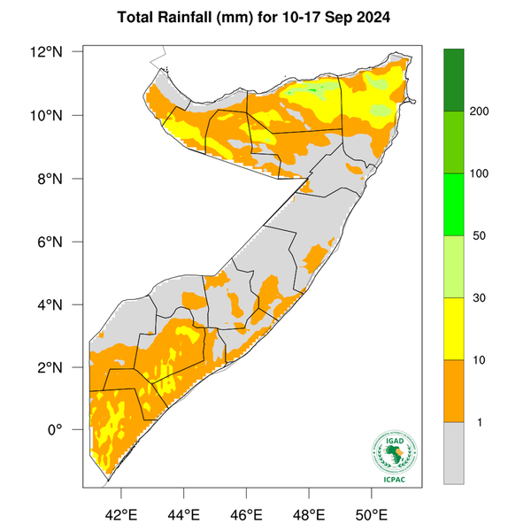 Rainfall forecast