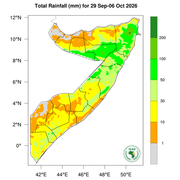 Rainfall forecast