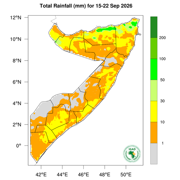 Rainfall forecast