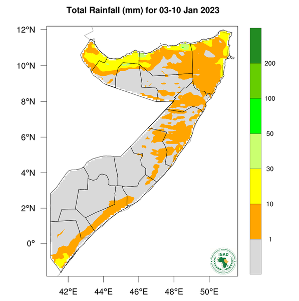 Rainfall forecast