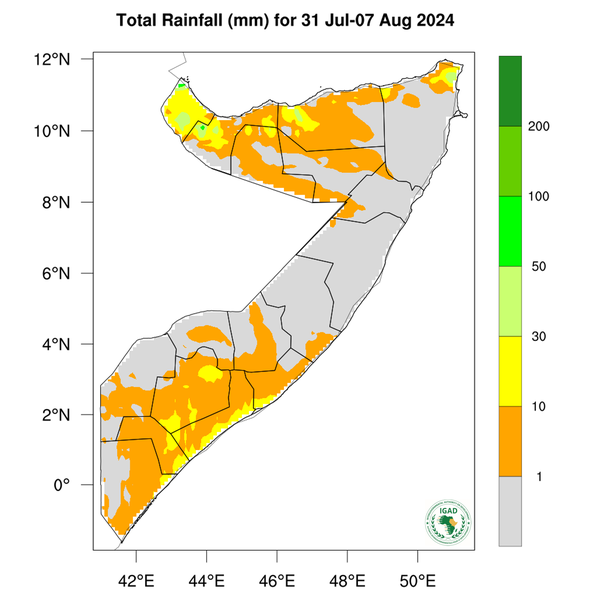 Rainfall forecast