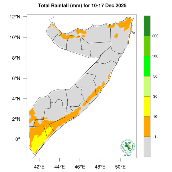 Rainfall forecast