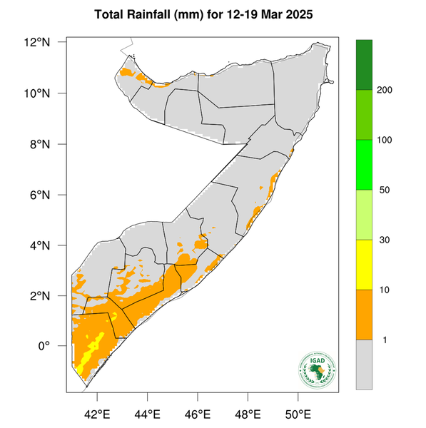 Rainfall forecast