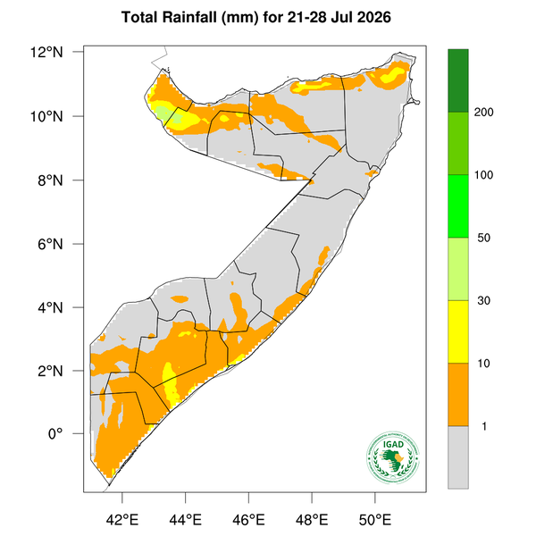Rainfall forecast