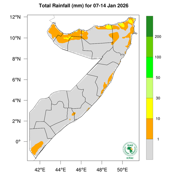 Rainfall forecast