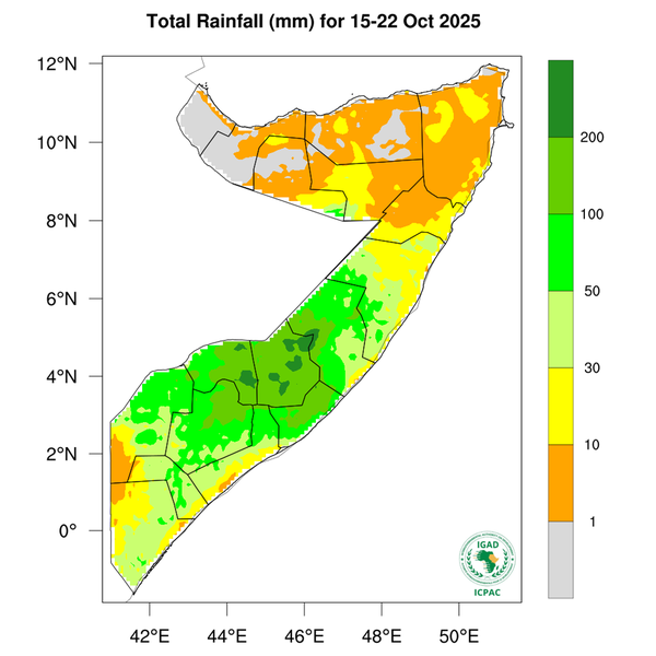Rainfall forecast