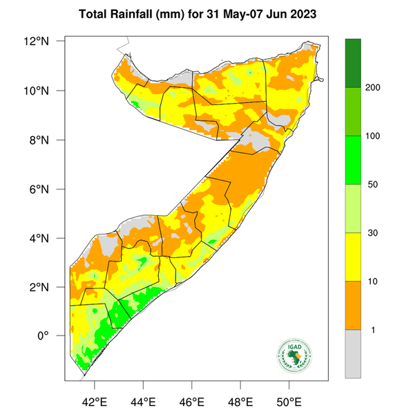 Rainfall forecast