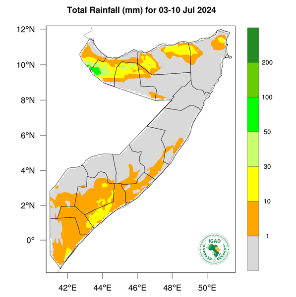 Rainfall forecast