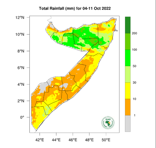 Rainfall forecast