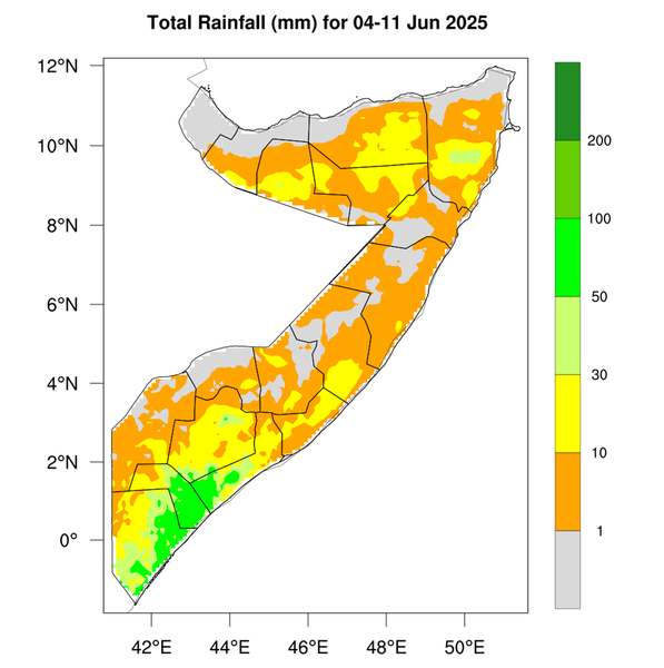 Rainfall forecast