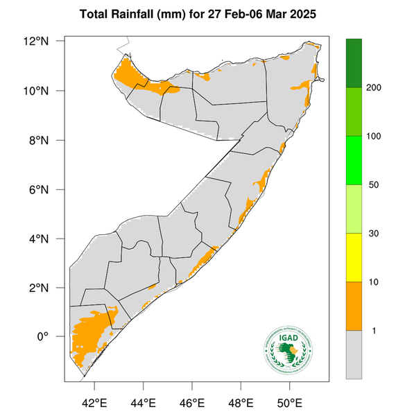 Rainfall forecast