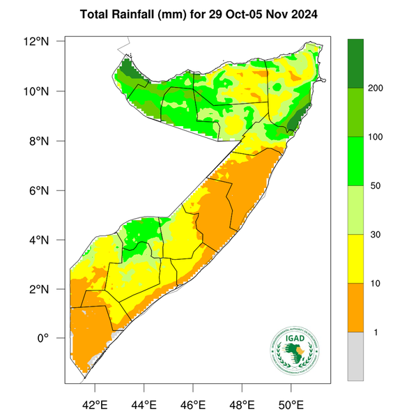 Rainfall forecast