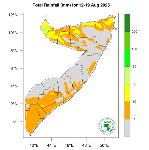 Rainfall forecast