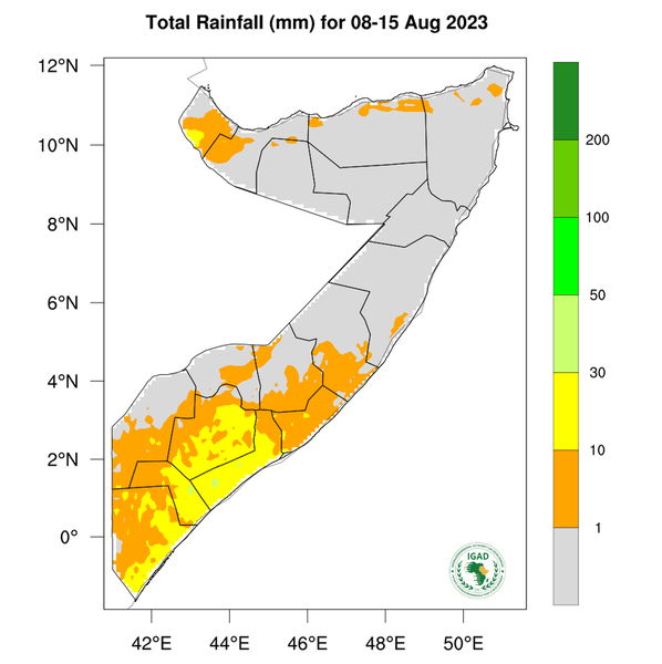 Rainfall forecast