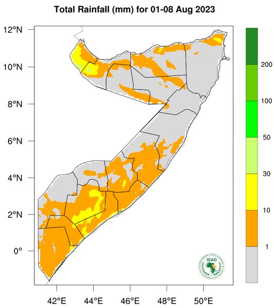 Rainfall forecast