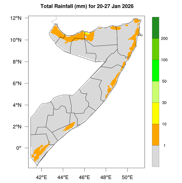 Rainfall forecast