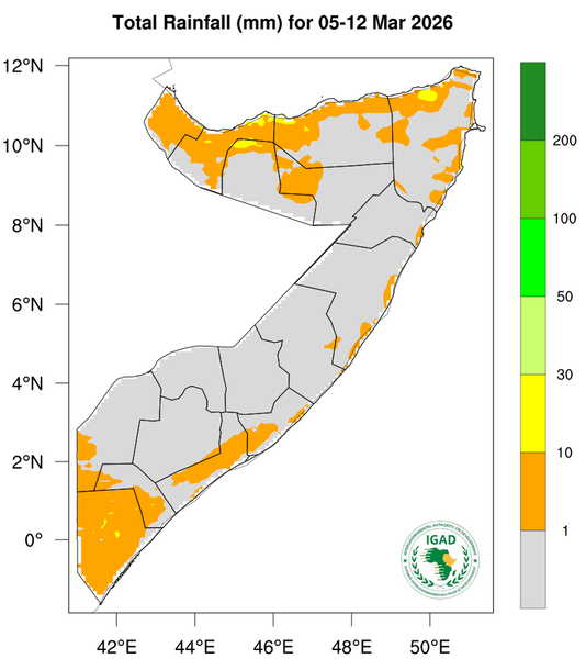 Rainfall forecast
