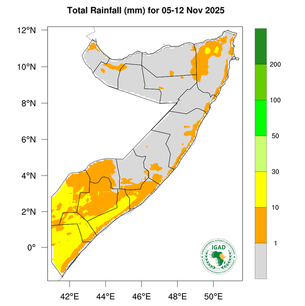 Rainfall forecast