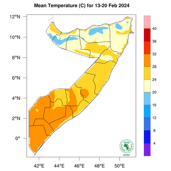 Temperature forecast