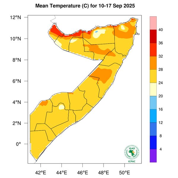 Temperature forecast