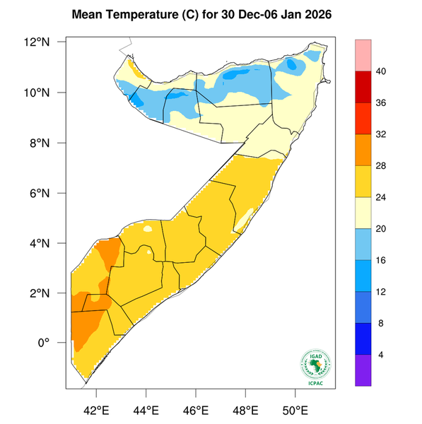 Temperature forecast