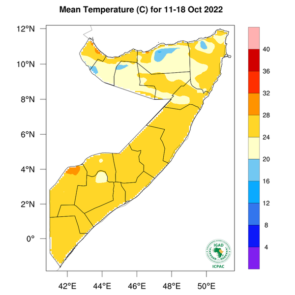 Temperature forecast