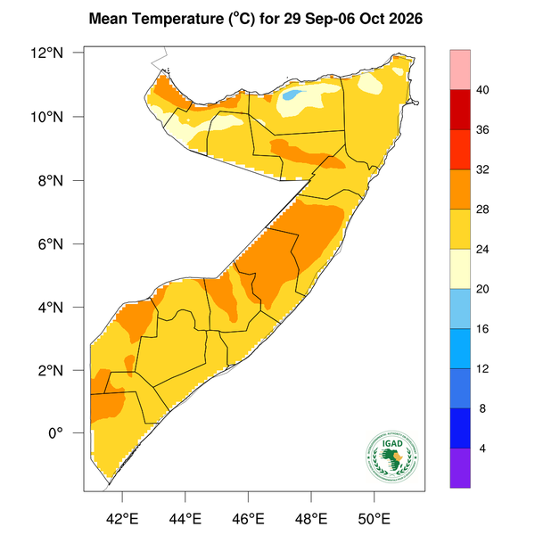 Temperature forecast