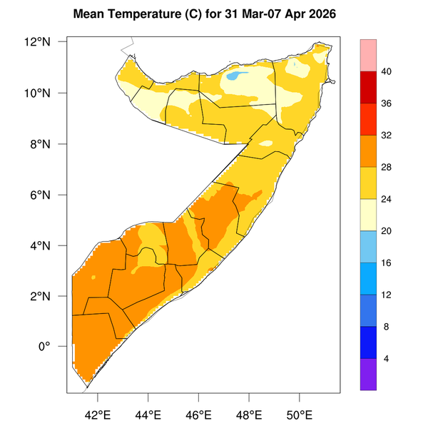 Temperature forecast