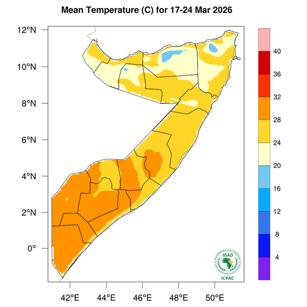 Temperature forecast