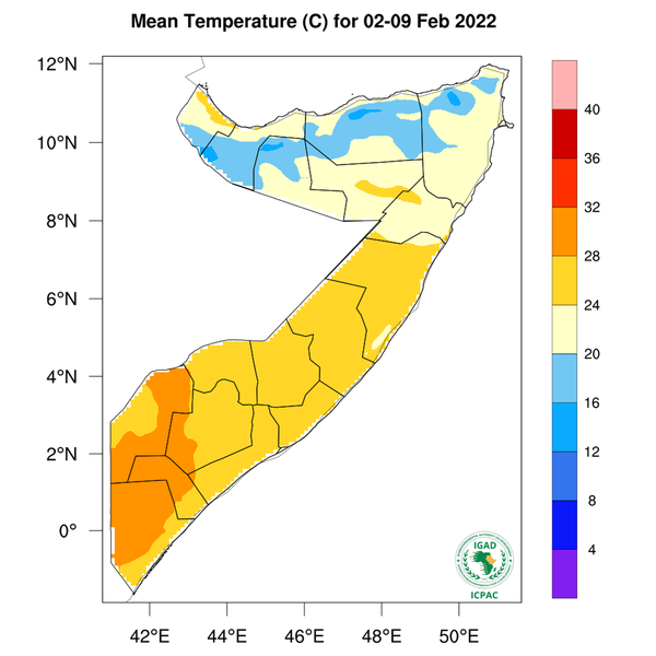Temperature forecast