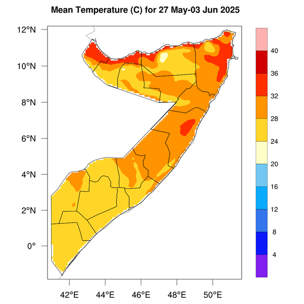 Temperature forecast