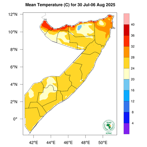 Temperature forecast