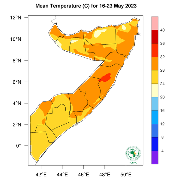 Temperature forecast