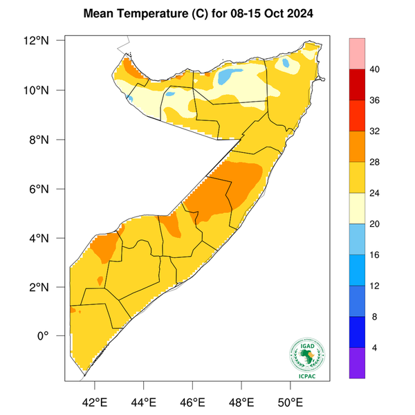 Temperature forecast