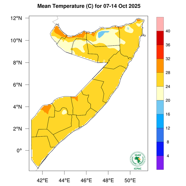 Temperature forecast