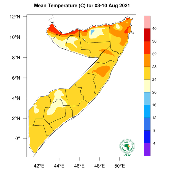 Temperature forecast