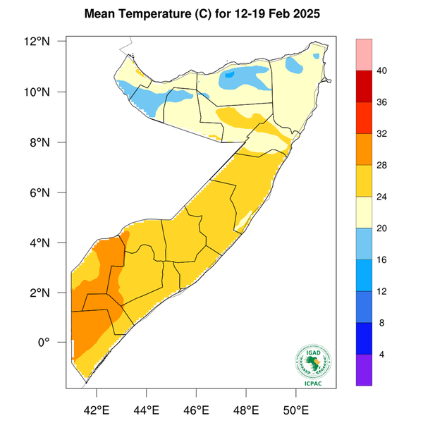 Temperature forecast