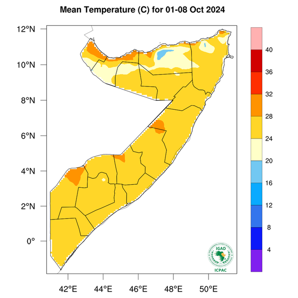 Temperature forecast