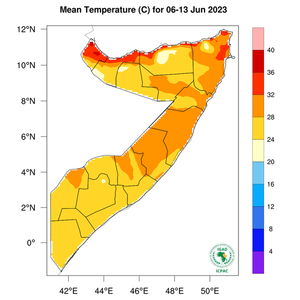 Temperature forecast