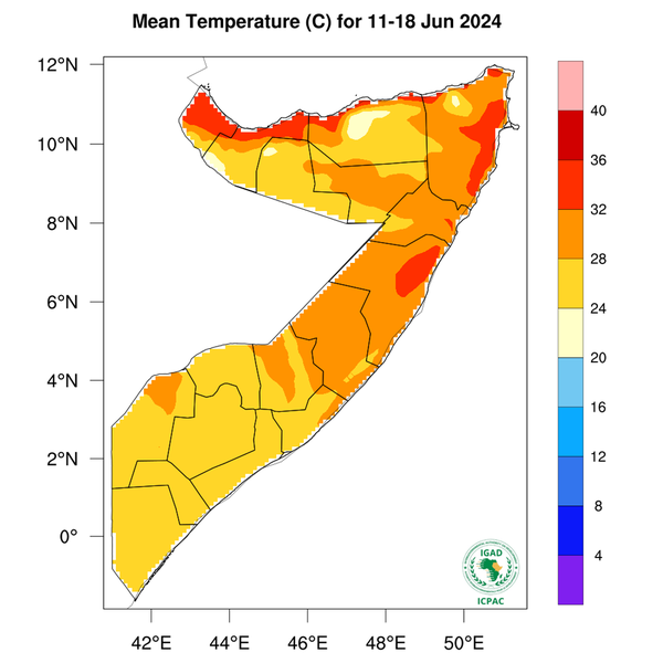 Temperature forecast