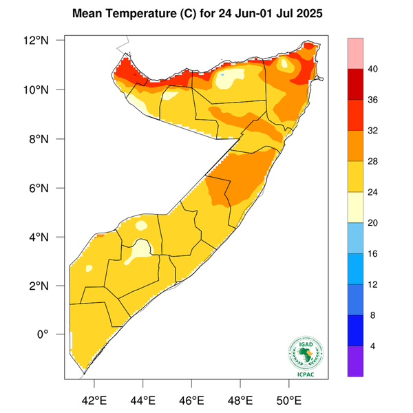 Temperature forecast