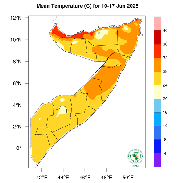 Temperature forecast
