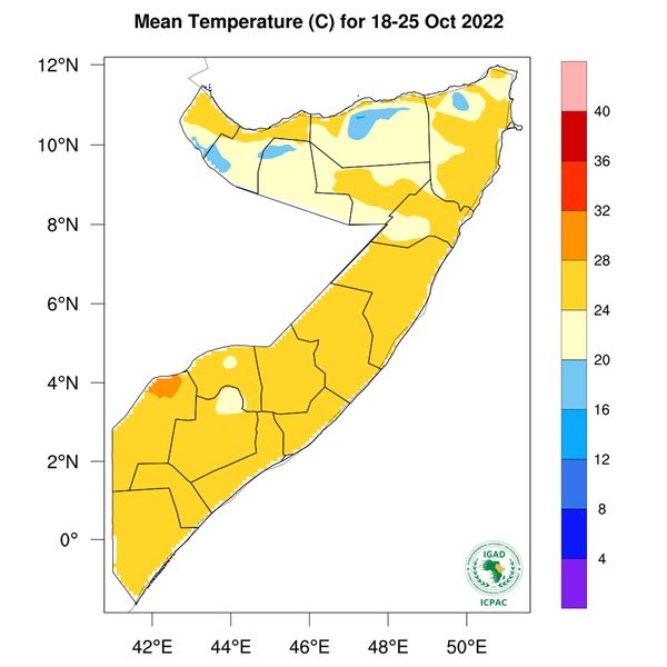 Temperature forecast