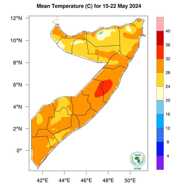Temperature forecast