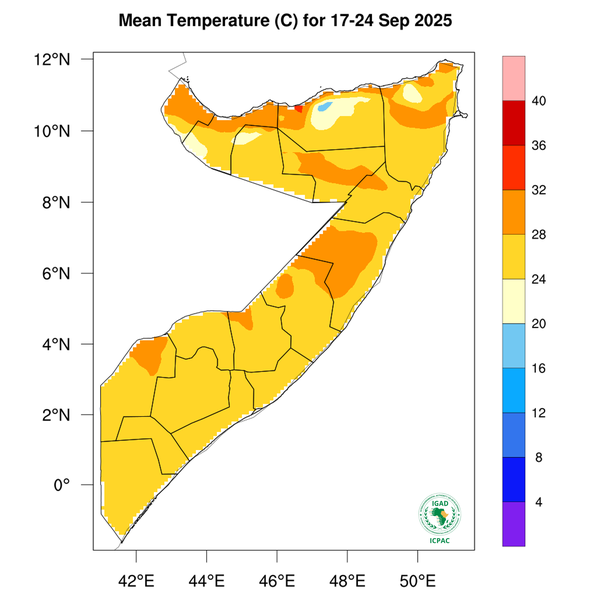 Temperature forecast