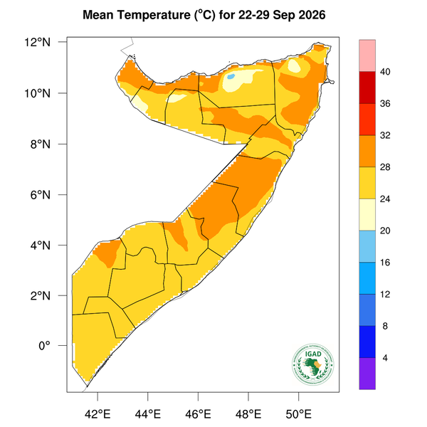 Temperature forecast