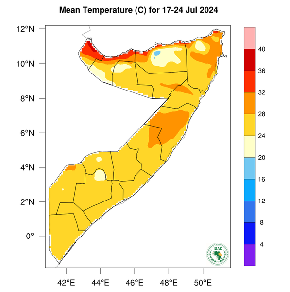 Temperature forecast