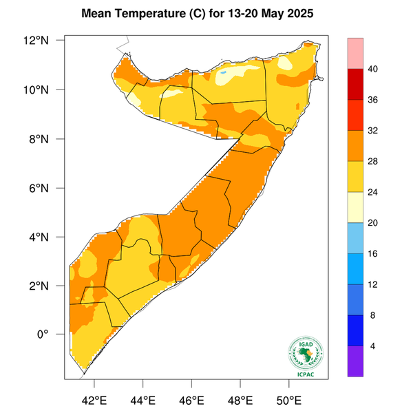 Temperature forecast